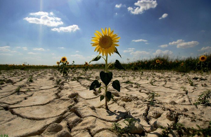 Land reform in Ukraine. What is the benefit to citizens from this?